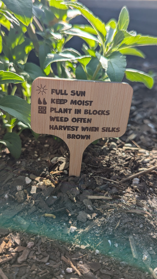 🪴 Garden Witch 🔮 Garden Signs – Bamboo Laser Engraved Markers