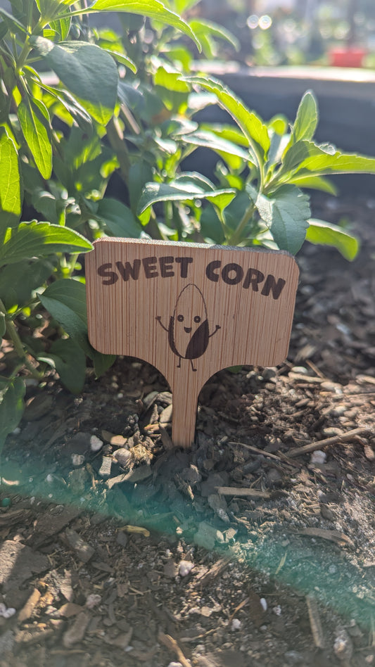 🪴 Garden Witch 🔮 Garden Signs – Bamboo Laser Engraved Markers
